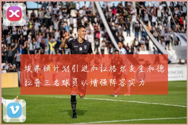 埃弗顿计划引进加拉格尔麦金和德拉普三名球员以增强阵容实力