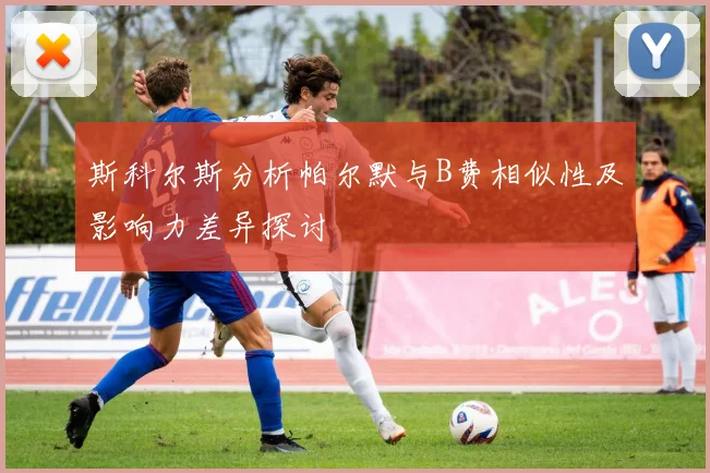斯科尔斯分析帕尔默与B费相似性及影响力差异探讨